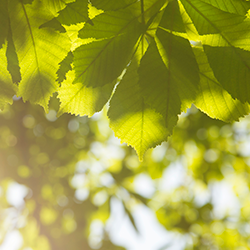 Die allgemeine Dermatologie, für eine gesunde Haut.